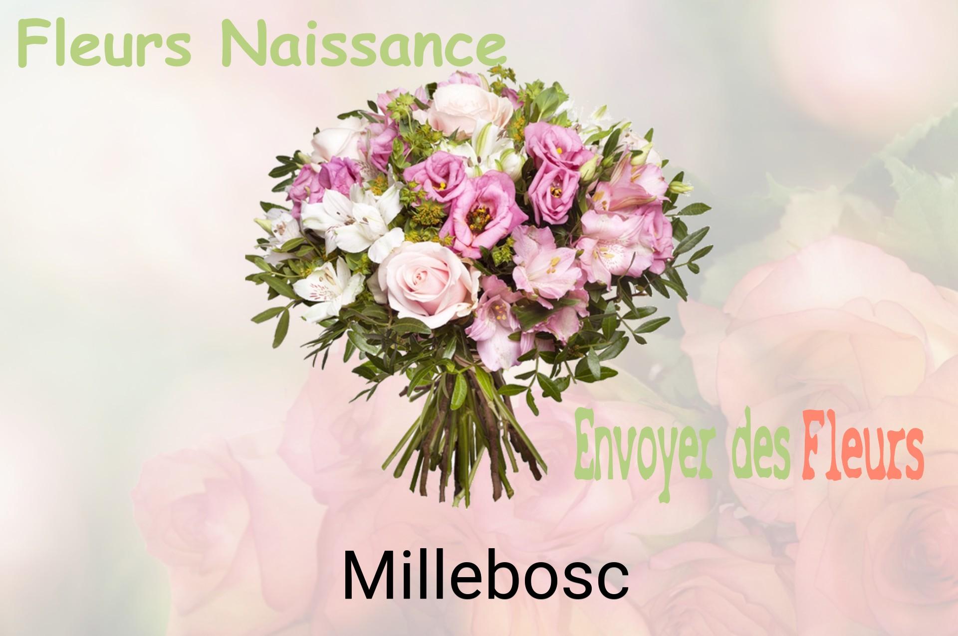 Bouquet de fleurs de naissance livré à Millebosc
